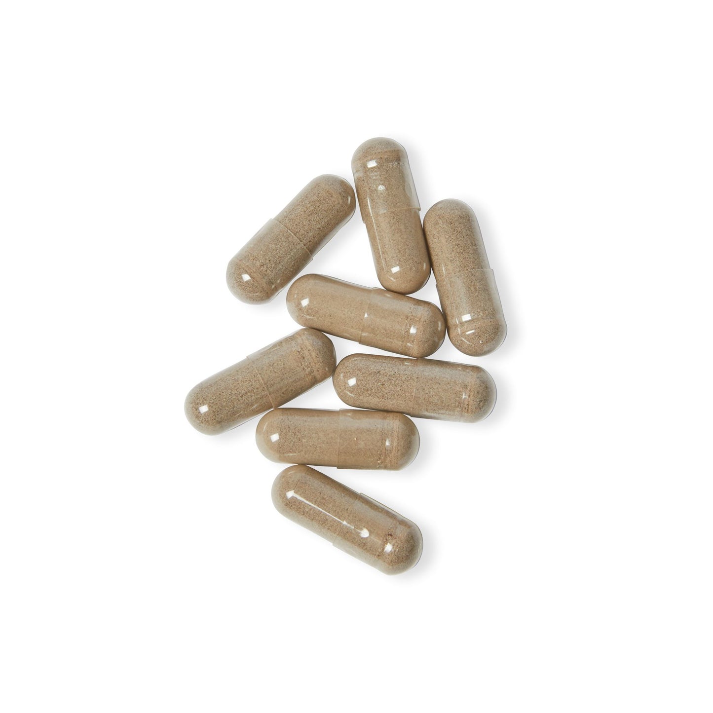 The Ocean Forager’s Blend - Sea Moss Supplement (60 Capsules)
