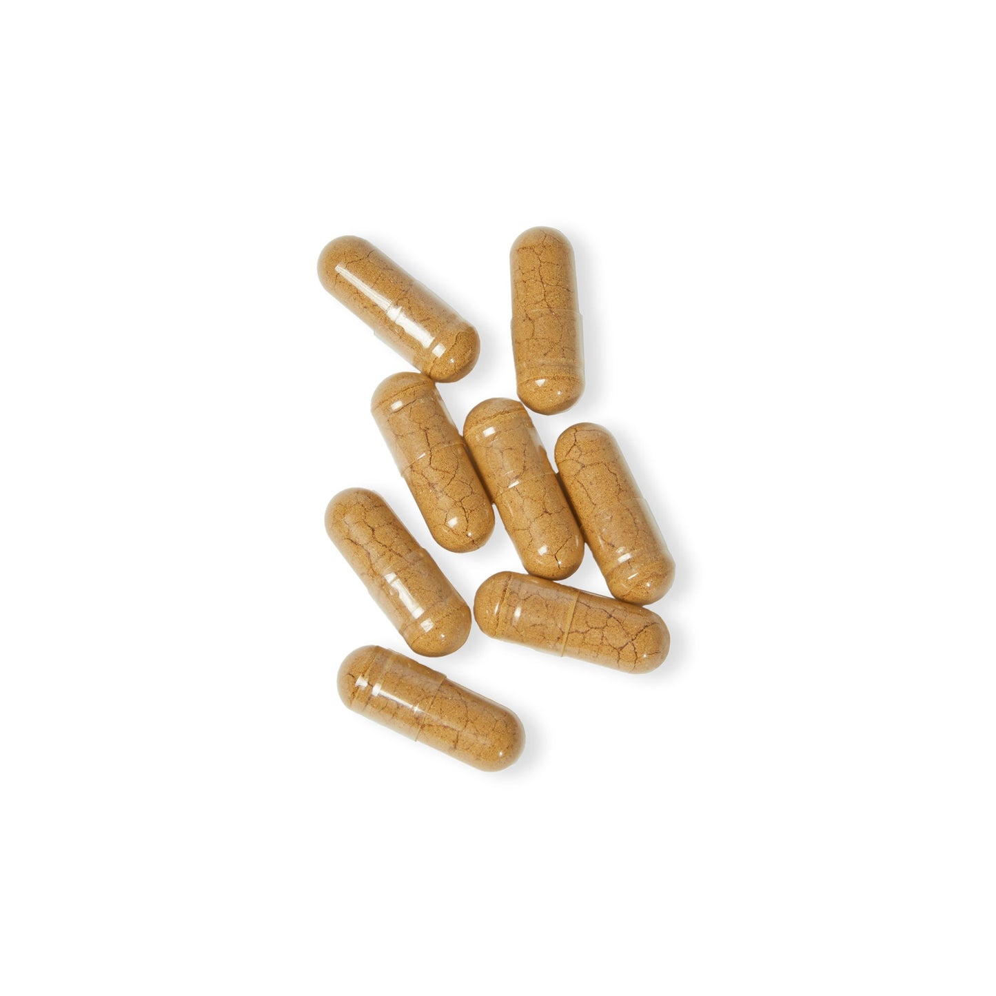 The Forager's Blend Dietary Supplement (60 Capsules - Mushroom Blend)